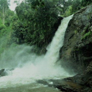 Soochipara waterfalls